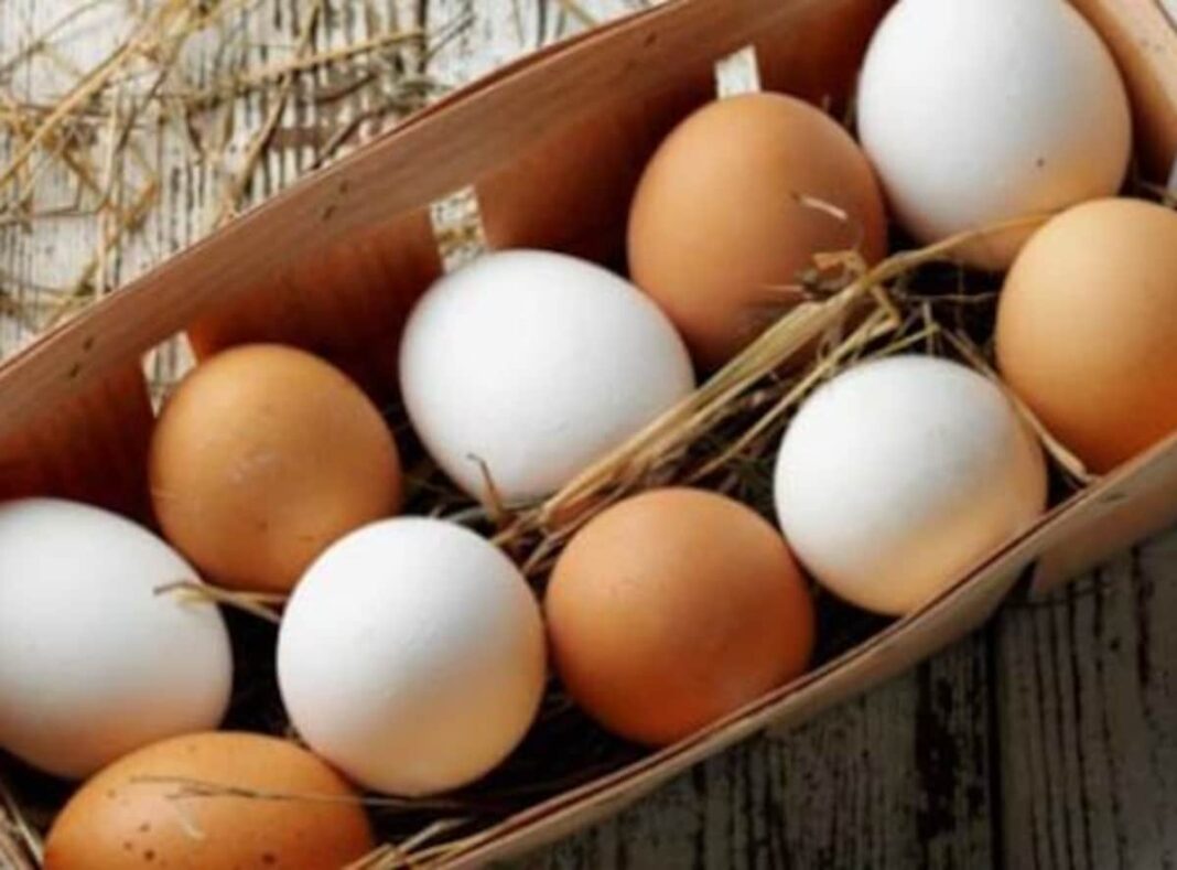 How do eggs benefit Hormonal Steadiness levels?