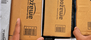 Appellate Amazon Amazonlazarus Los