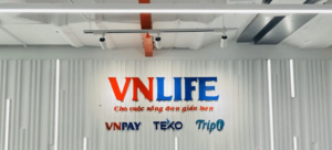 vietnambased vnlife vnpay 250m