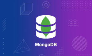MongoDB Course