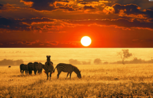 5120x1440p 329 africa backgrounds