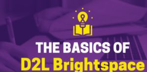 d2l Mnsu