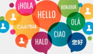 languages 5e