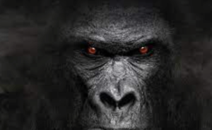 5120x1440p 329 gorilla background