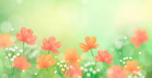 5120x1440p 329 spring wallpapers
