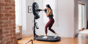 liteboxer fitness bundle