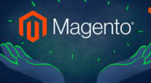 magento seo services