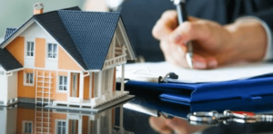 Real Estate Business
