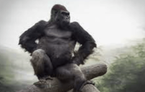 5120x1440p 329 gorilla wallpaper