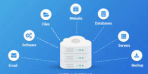 web application hosting server