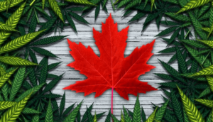 legalization of cannabis in Canada