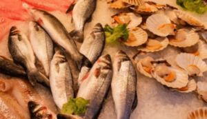 Explore the Rich Offerings of Japanese Fish Markets in SG