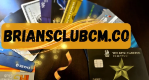 Bclub.cm: Examination Uncovers Subtle CC Dump Canister Commercial Centers