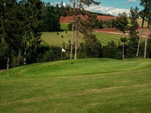 horizon spark start growth
