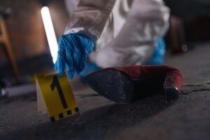 verified registry evidence ids list